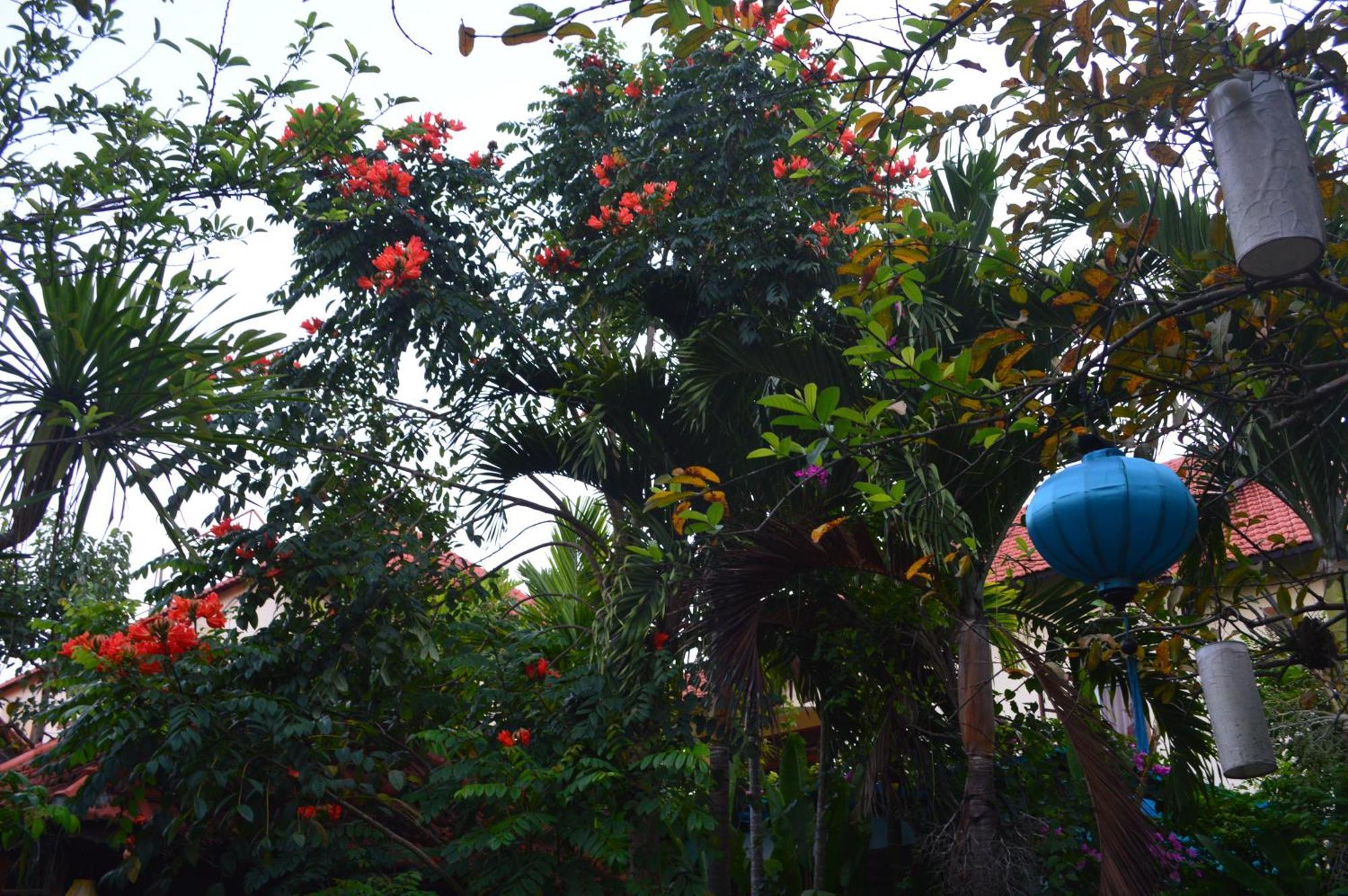 Villa Orchid Garden Riverside Hội An Kültér fotó