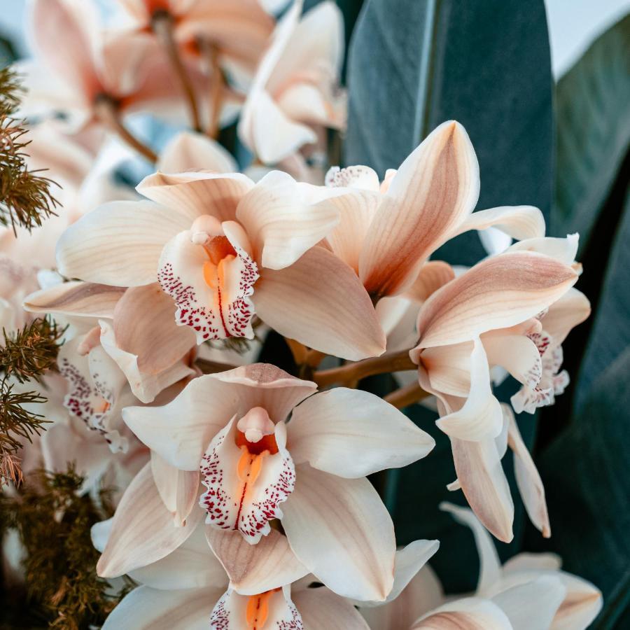 Villa Orchid Garden Riverside Hội An Kültér fotó